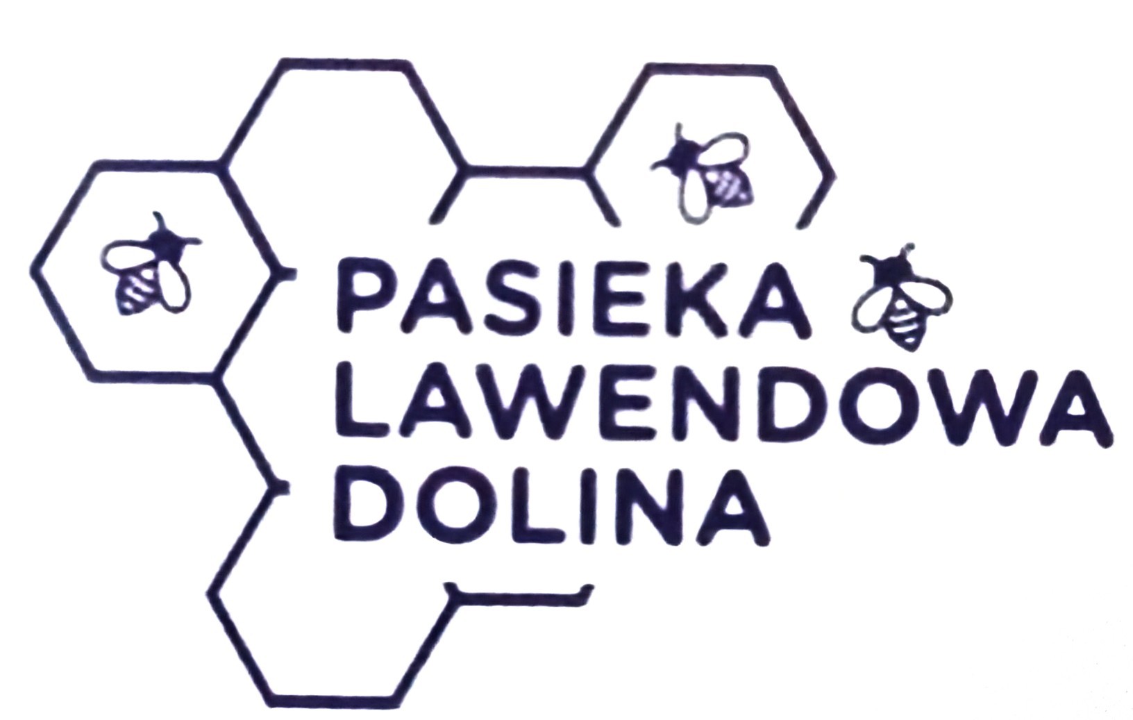 PasiekaLawendowaDolina